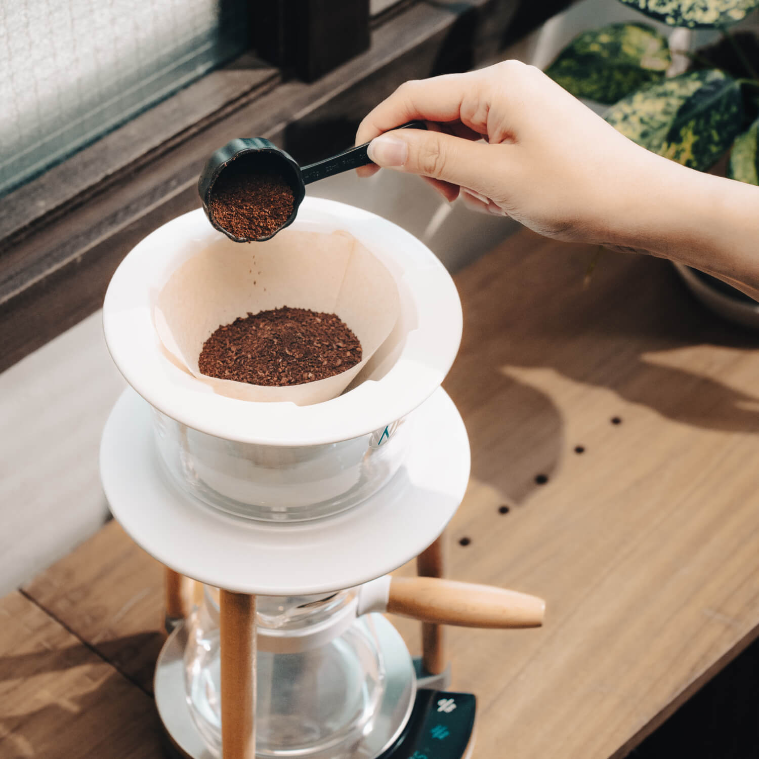A close-up of a hand pouring freshly ground coffee from a black scoop into a white pour-over dripper on a glass pour-over coffee maker set on a wooden table.